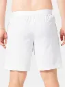 SHORT LACOSTE GH7452 1HG1 Men's shorts