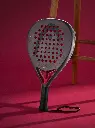 coello-motion-2026 (4).webp