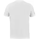 393575_3.webp