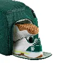 241500522_5.webp